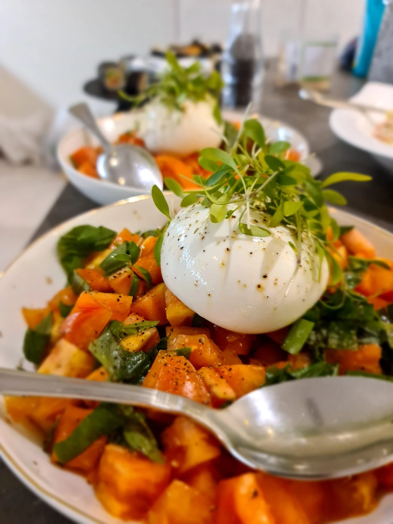 Salad Catering Option