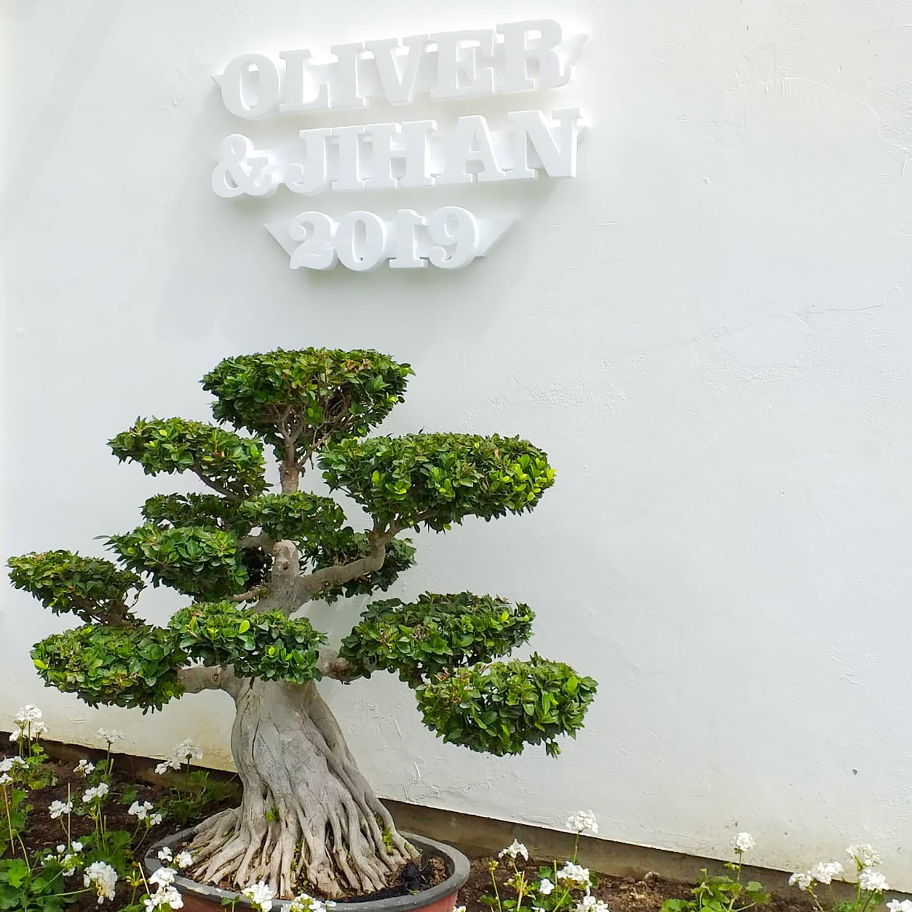Bonsai Wedding